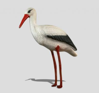 鹤动物SU模型下载_sketchup草图大师SKP模型