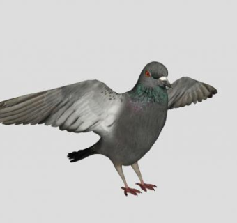 歇下来的鸽子动物SU模型下载_sketchup草图大师SKP模型