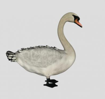 天鹅动物SU模型下载_sketchup草图大师SKP模型