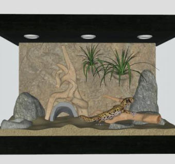 蜥蜴动物SU模型下载_sketchup草图大师SKP模型