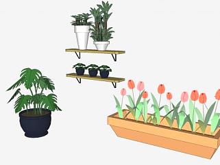 室内花盆盆景花箱植物SU模型下载_sketchup草图大师SKP模型