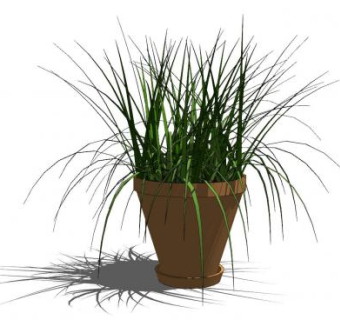 花盆盆栽植物sketchup模型下载_sketchup草图大师SKP模型