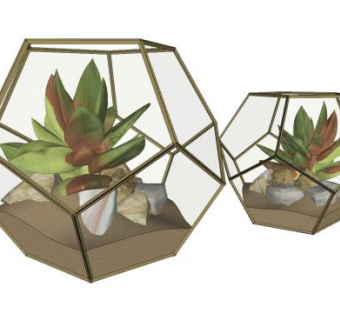 多肉植物摆件SU模型下载_sketchup草图大师SKP模型