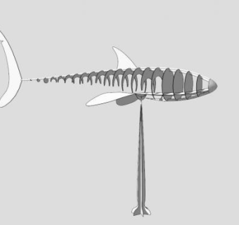 鱼骨雕塑SU模型下载_sketchup草图大师SKP模型