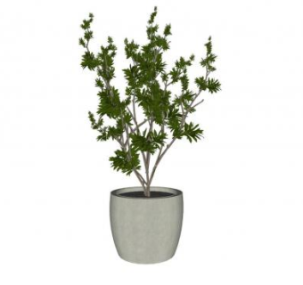 盆景植物盆栽SU模型下载_sketchup草图大师SKP模型
