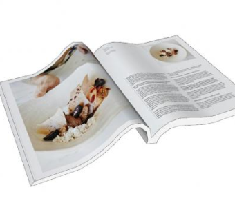 打开的书本杂志sketchup模型下载_sketchup草图大师SKP模型