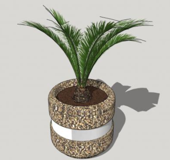 铁树花盆盆栽SU模型下载_sketchup草图大师SKP模型