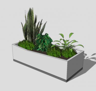 花坛花盆小植物一角SU模型下载_sketchup草图大师SKP模型