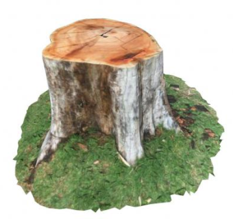 树桩SU模型下载_sketchup草图大师SKP模型