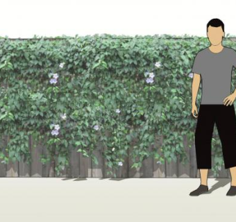 藤蔓绿植墙SU模型下载_sketchup草图大师SKP模型