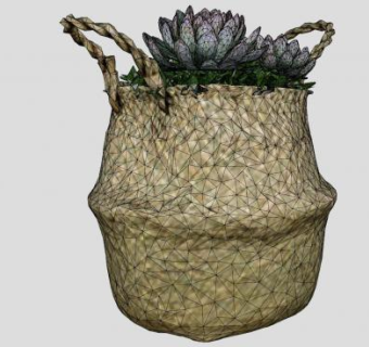编织篮多肉植物盆栽SU模型下载_sketchup草图大师SKP模型