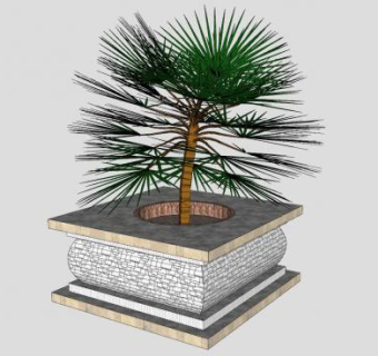 棕树木质盆景盆栽SU模型下载_sketchup草图大师SKP模型