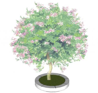 简易树池SU模型下载_sketchup草图大师SKP模型