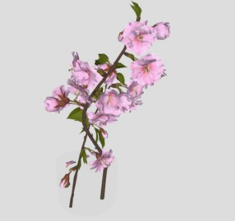 花瓶装饰陈设品SU模型下载_sketchup草图大师SKP模型