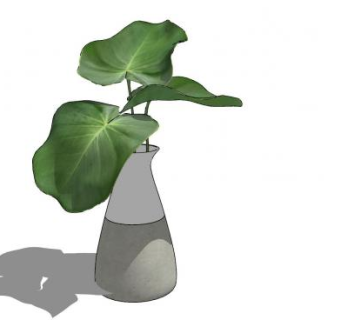 玻璃花瓶观叶植物SU模型下载_sketchup草图大师SKP模型