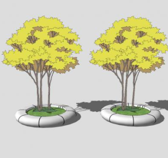 圆形树池景观树SU模型下载_sketchup草图大师SKP模型