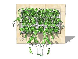 绿植架绿植墙装饰SU模型下载_sketchup草图大师SKP模型