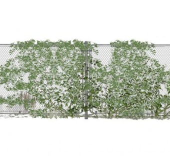铁丝网护栏蔓藤爬藤类植物SU模型下载_sketchup草图大师SKP模型