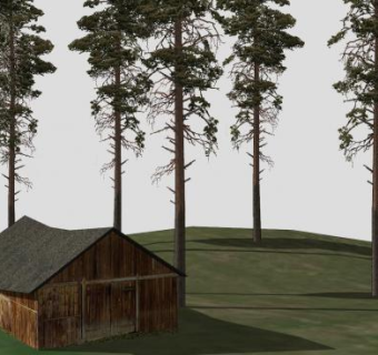 郊外小木屋和高高的3D白杨树SU模型下载_sketchup草图大师SKP模型