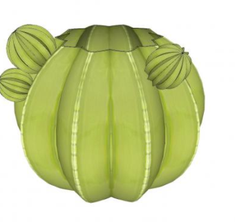 仙人球样式的花盆SU模型下载_sketchup草图大师SKP模型