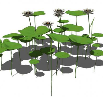 绿色的荷叶白莲花SU模型下载_sketchup草图大师SKP模型