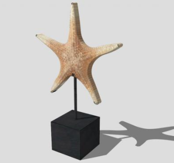 海星装饰品SU模型下载_sketchup草图大师SKP模型