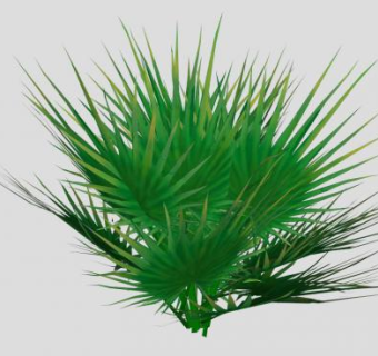 棕竹棕榈科植物SU模型下载_sketchup草图大师SKP模型