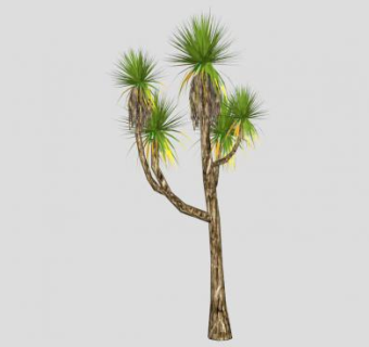热带棕榈树SU模型下载_sketchup草图大师SKP模型