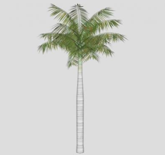 热带椰子树SU模型下载_sketchup草图大师SKP模型