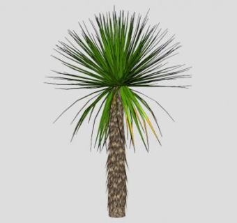 3d棕榈科棕榈科植物SU模型下载_sketchup草图大师SKP模型