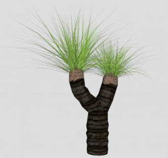 棕榈科热带棕榈树SU模型下载_sketchup草图大师SKP模型