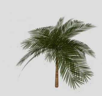 热带植物棕榈科椰子树SU模型下载_sketchup草图大师SKP模型