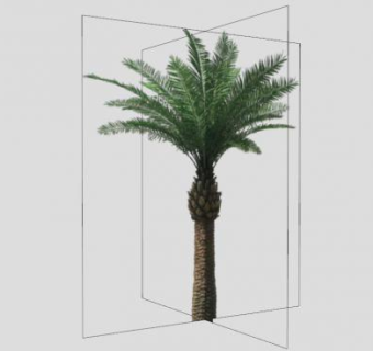 棕榈科油棕树SU模型下载_sketchup草图大师SKP模型