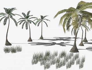 多棵棕榈科<em>椰子树</em>SU模型下载_sketchup草图大师SKP模型
