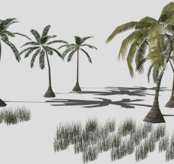 多棵棕榈科椰子树SU模型下载_sketchup草图大师SKP模型