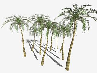 多棵棕榈科植物<em>椰子树</em>SU模型下载_sketchup草图大师SKP...