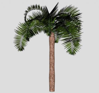 棕榈植物椰子树SU模型下载_sketchup草图大师SKP模型