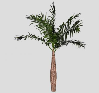 棕榈椰子树SU模型下载_sketchup草图大师SKP模型