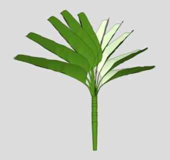 2d树香蕉树SU模型下载_sketchup草图大师SKP模型