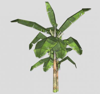香蕉树芭蕉科芭蕉属植物SU模型下载_sketchup草图大师SKP模型