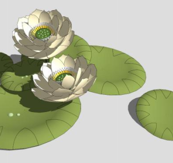 重台白莲莲花SU模型下载_sketchup草图大师SKP模型