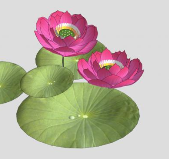 千瓣莲莲花荷花SU模型下载_sketchup草图大师SKP模型