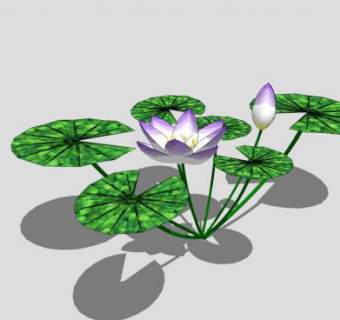 紫色莲花莲叶SU模型下载_sketchup草图大师SKP模型