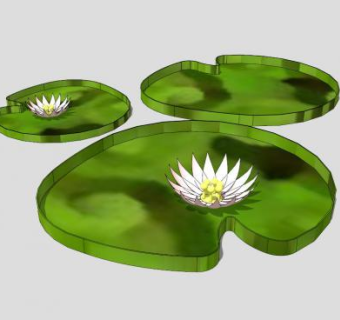 白色莲花莲叶SU模型下载_sketchup草图大师SKP模型