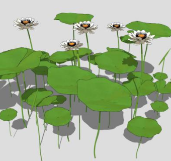 白莲莲叶莲花睡莲SU模型下载_sketchup草图大师SKP模型