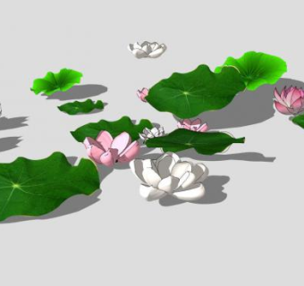 粉色白色双色莲花荷花SU模型下载_sketchup草图大师SKP模型