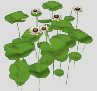重瓣白莲荷花SU模型下载_sketchup草图大师SKP模型