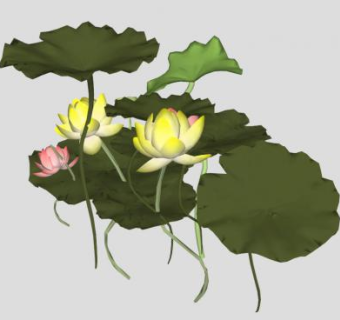 粉莲黄莲莲花荷花SU模型下载_sketchup草图大师SKP模型