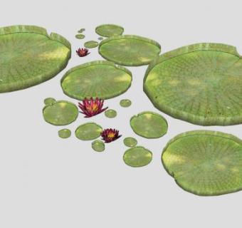 睡莲莲叶荷叶SU模型下载_sketchup草图大师SKP模型