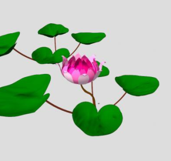 碗莲莲花莲叶SU模型下载_sketchup草图大师SKP模型